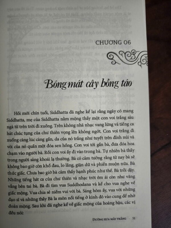 Đường Xưa Mây Trắng - Theo Gót Chân Bụt - Thầy Thích Nhất Hạnh - Hình ảnh 7